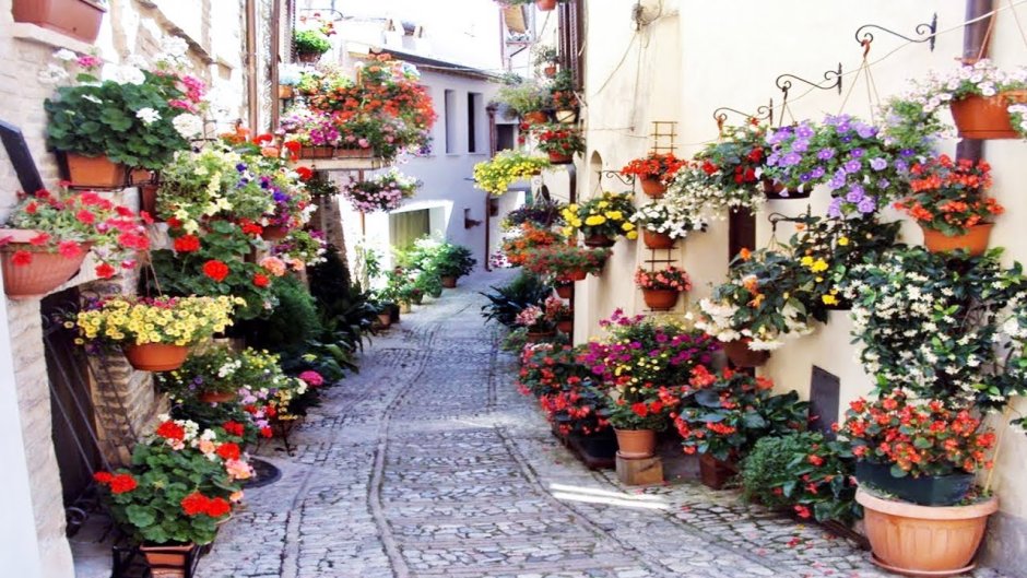 Цветочные улицы в Италии