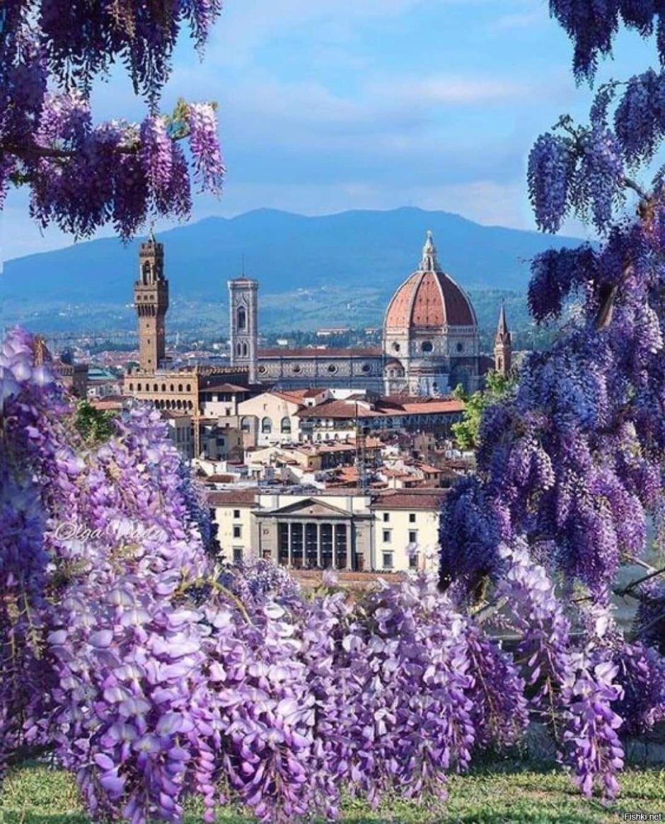 Италия Тоскана Флоренция