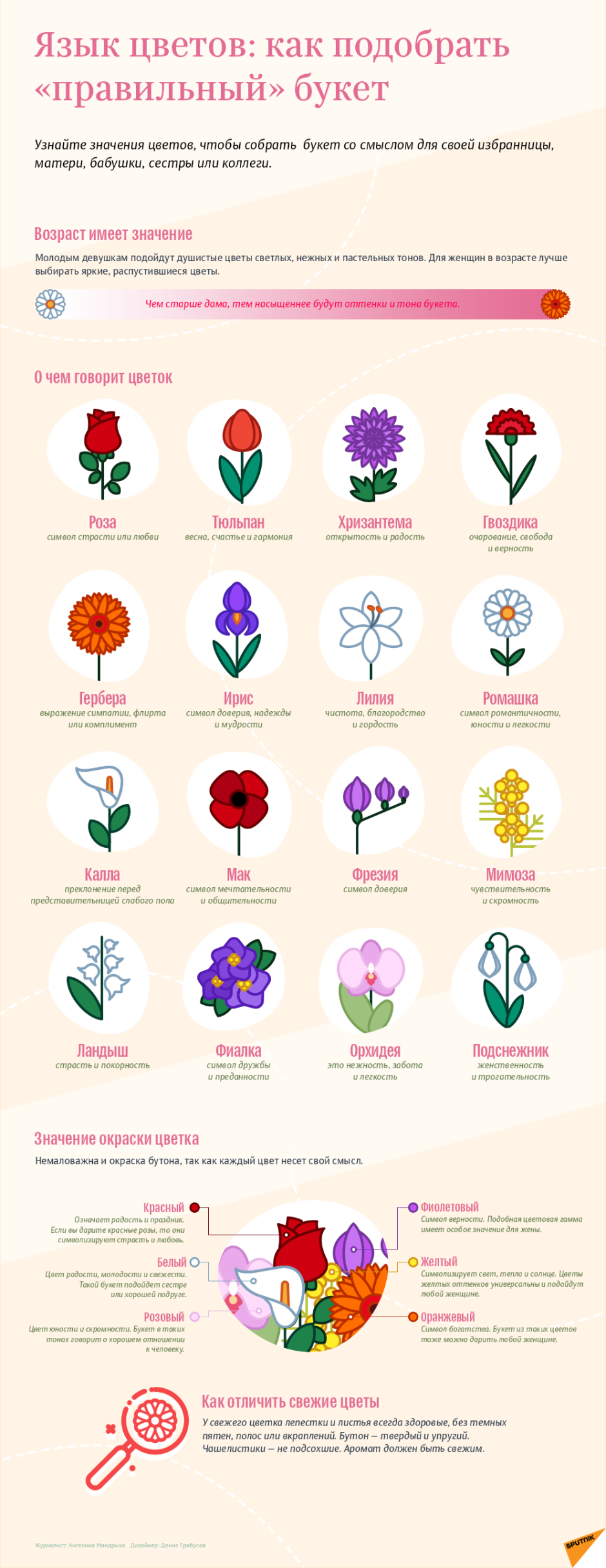 Какие цветы обозначения цветов
