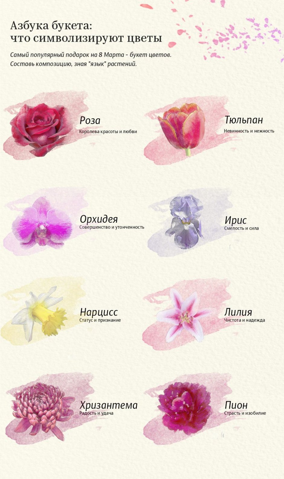 Какие цветы что символизируют