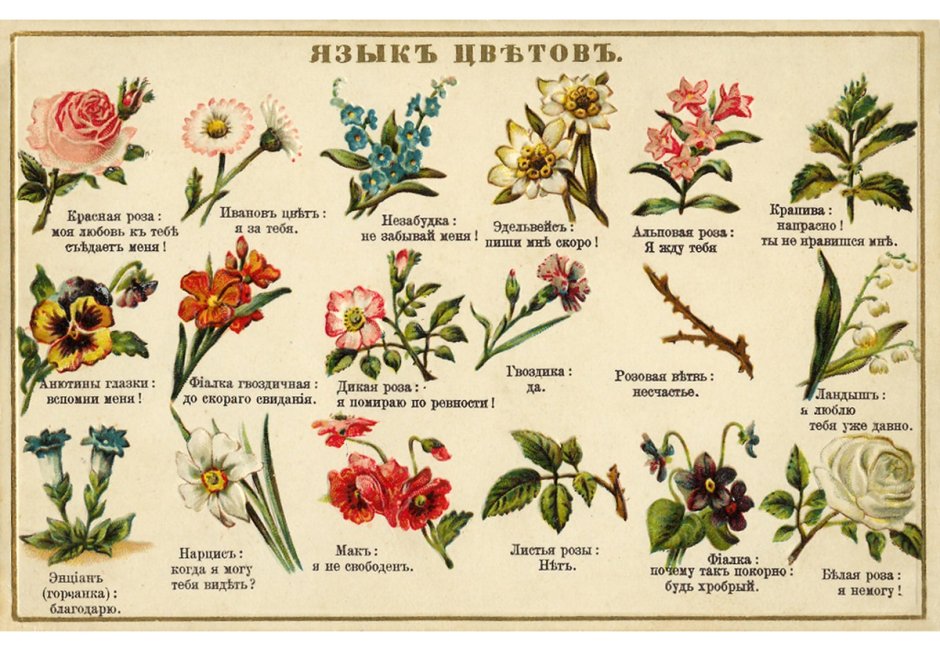 Викторианский язык цветов