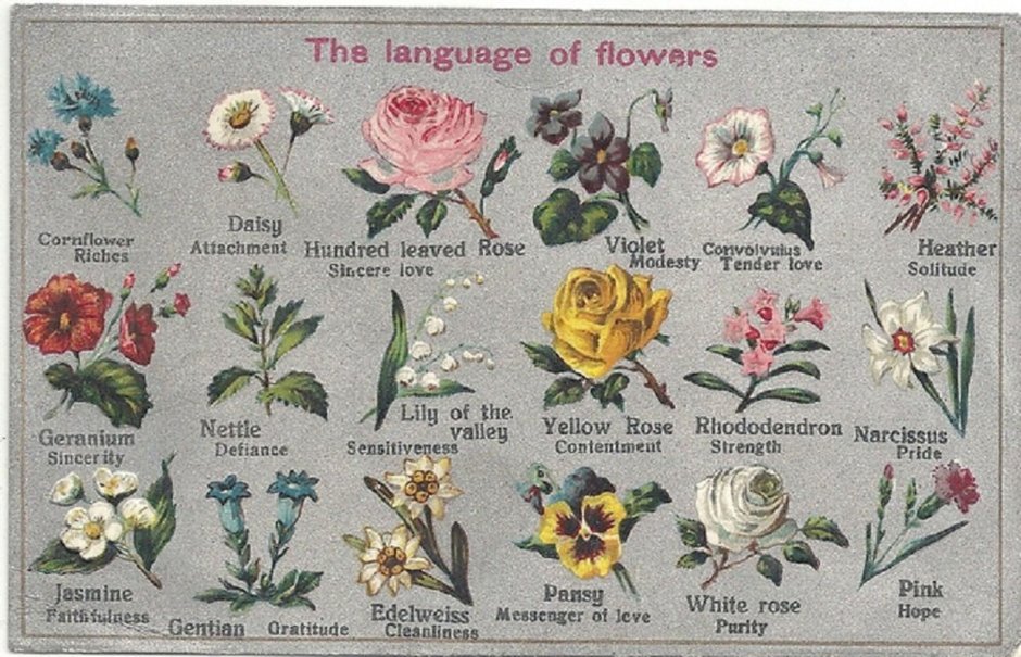 Викторианский язык цветов