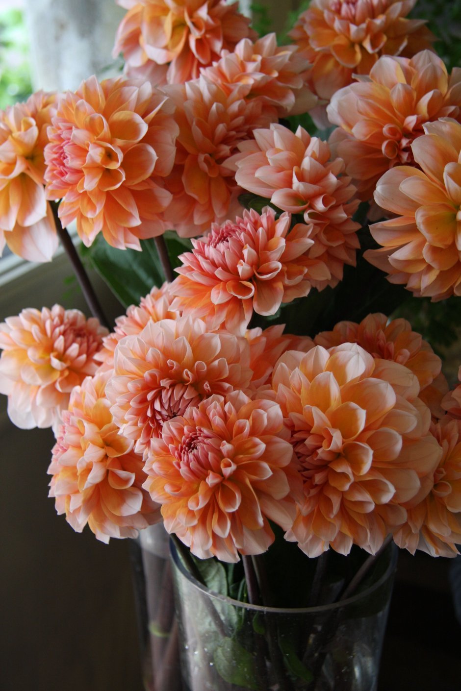 Fujino Peach Flower