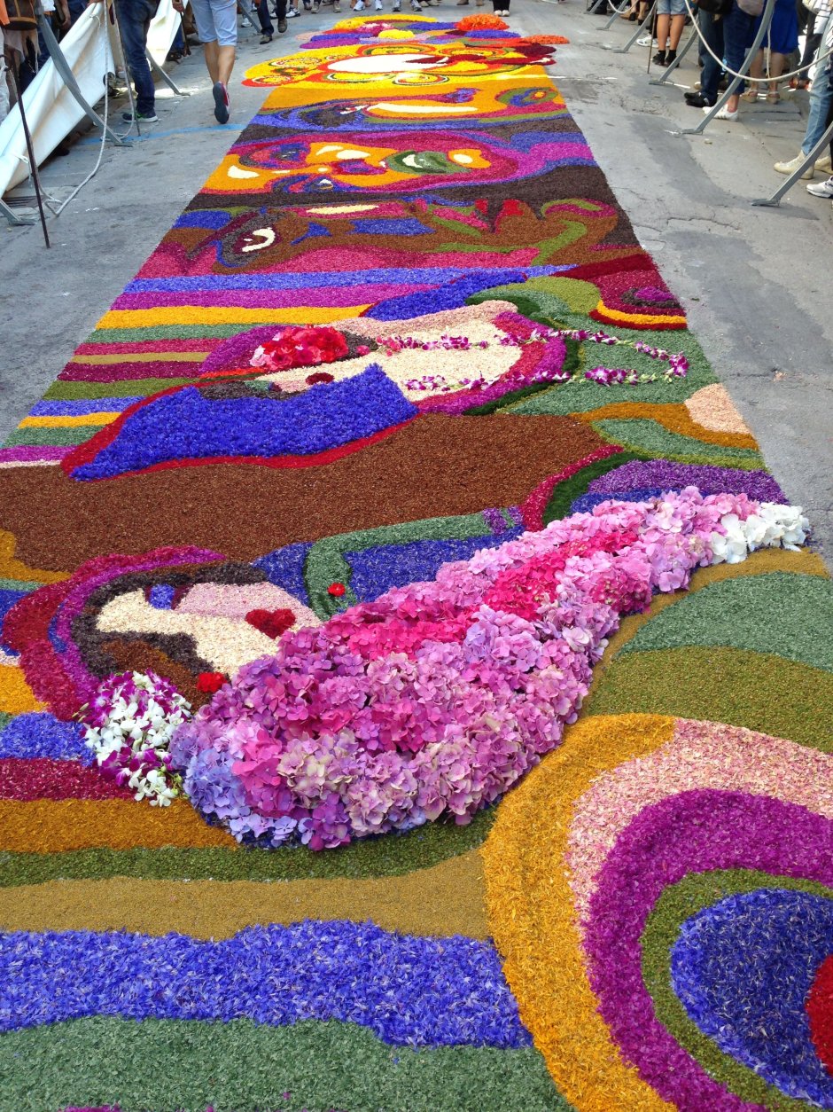Цветы для клумбы ковровые