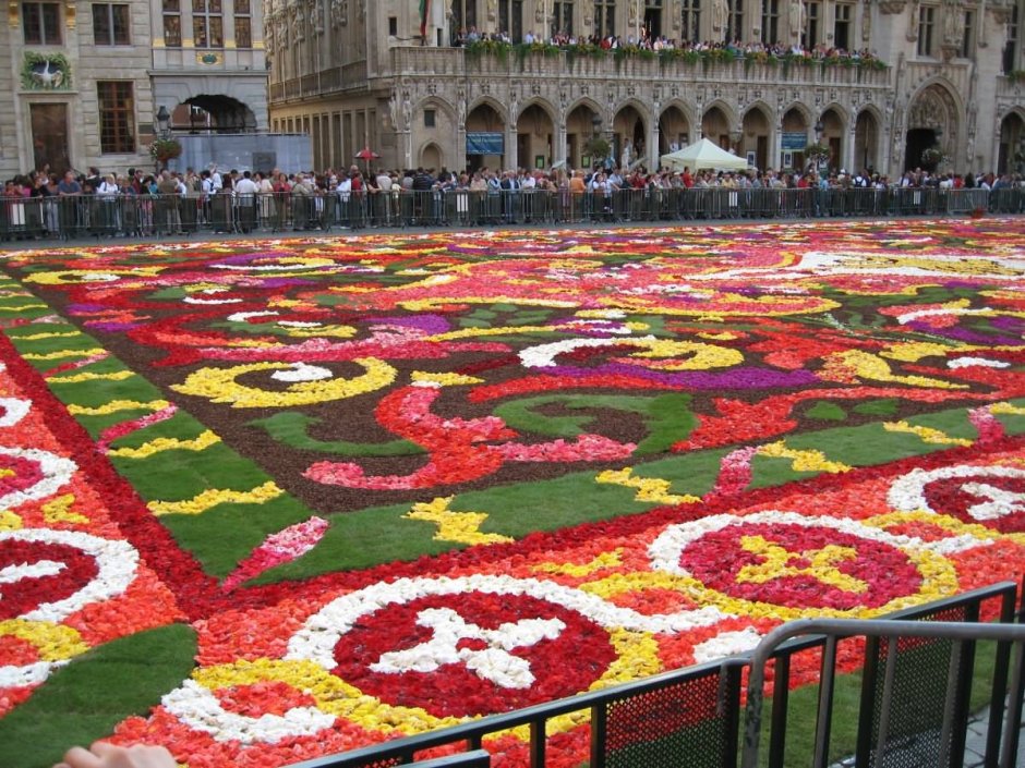Фестиваль "цветочный ковер" (Flower Carpet), Брюссель, Бельгия.