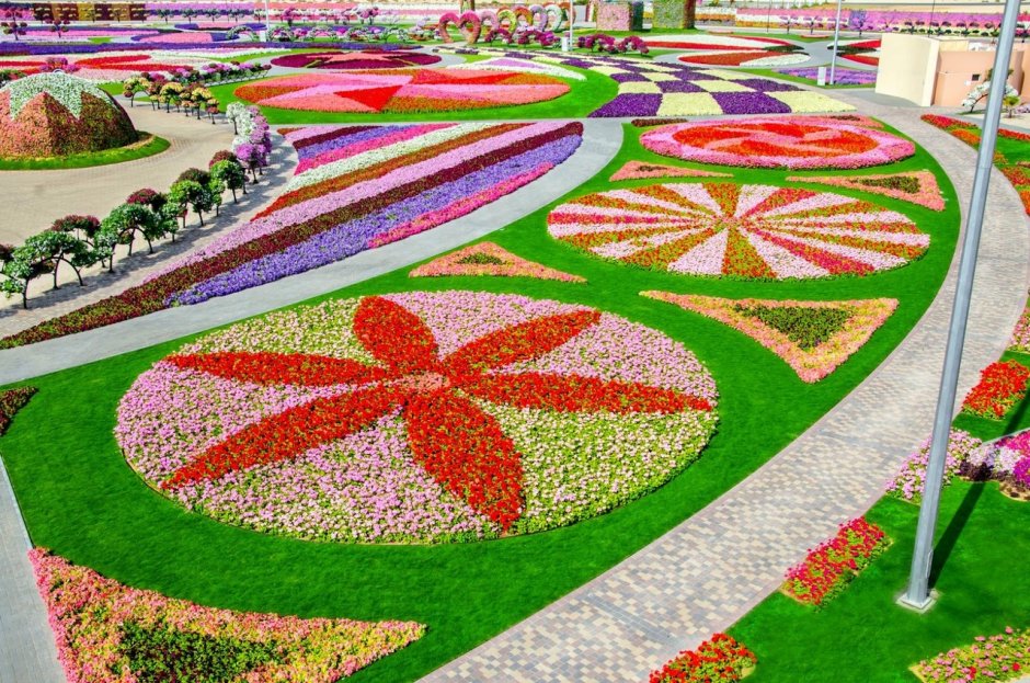 Миракл Гарден парк цветов Дубай