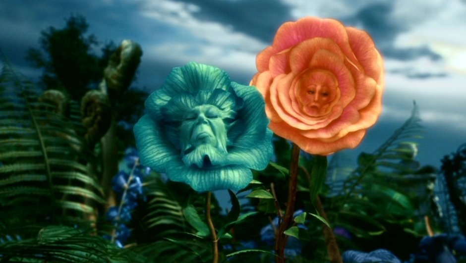 Цветы из Алисы в Зазеркалье