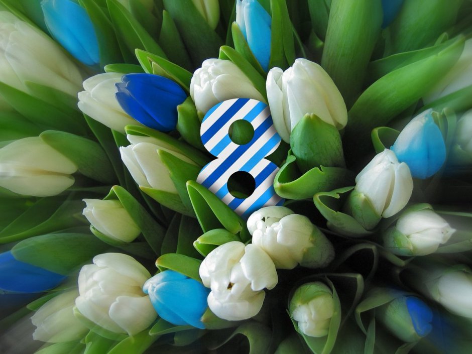 Букет тюльпанов на голубом