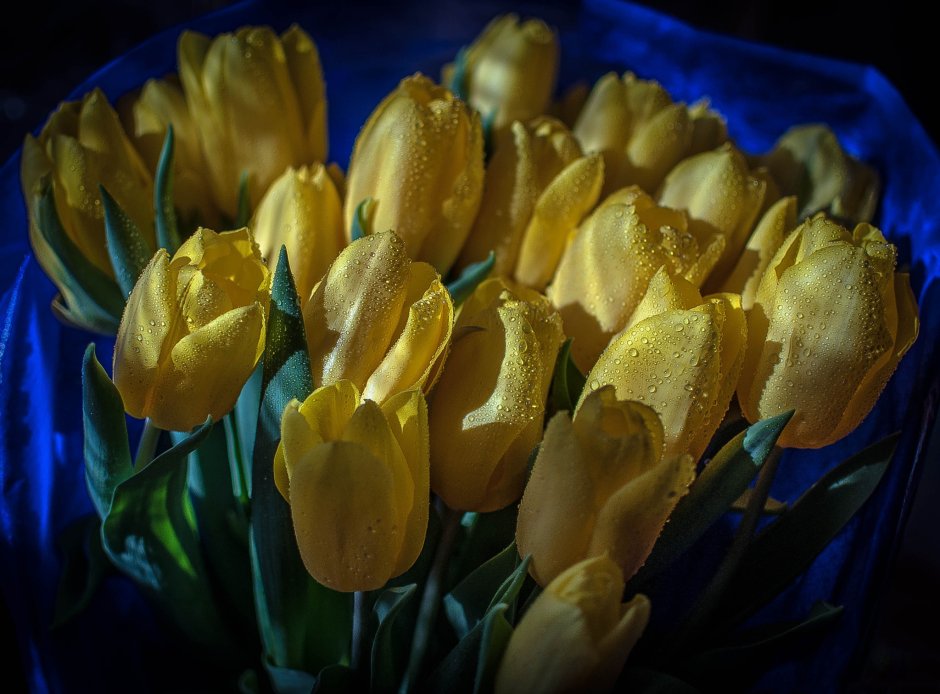 Букет желто голубых тюльпанов