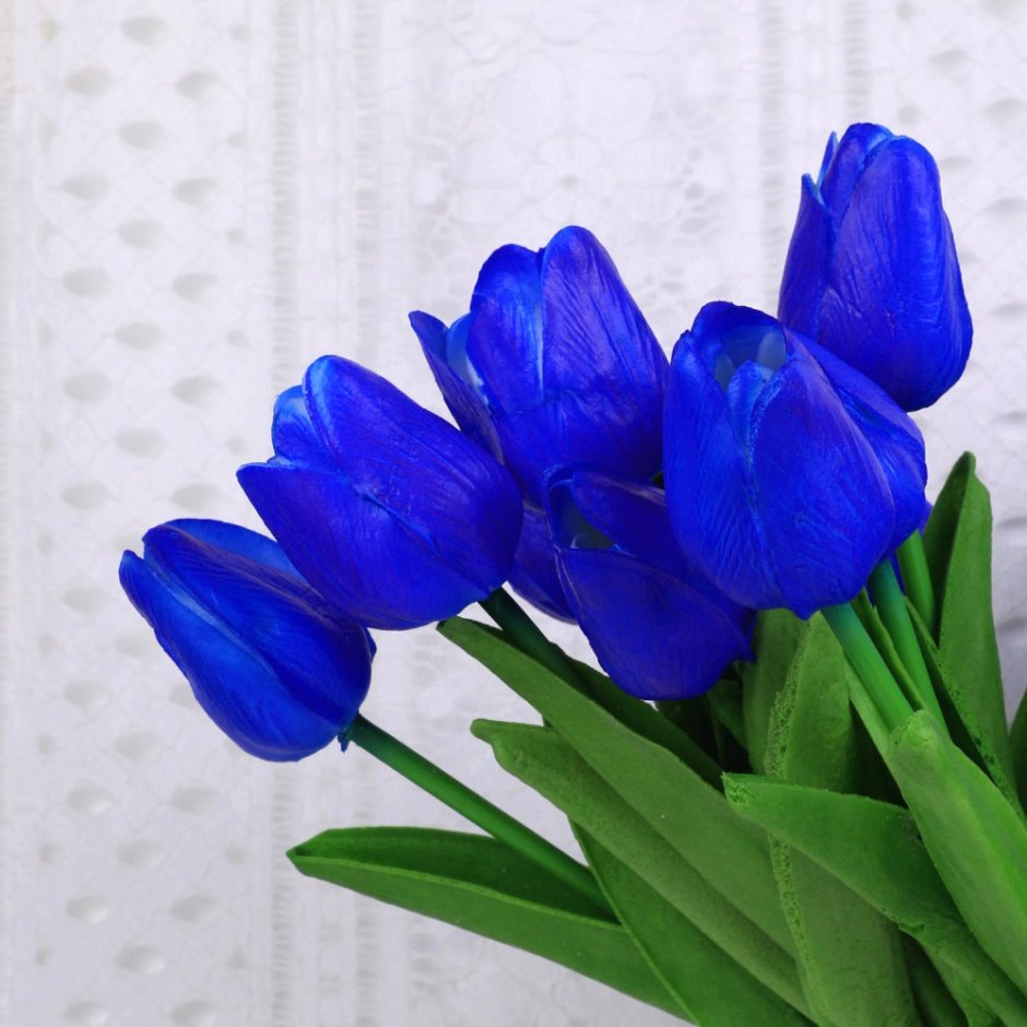Цветы синие тюльпаны