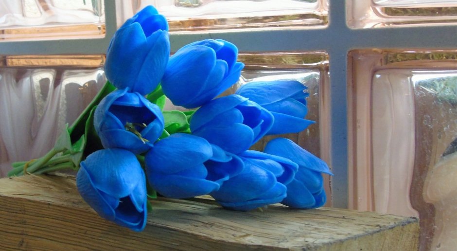 Синие тюльпаны букет