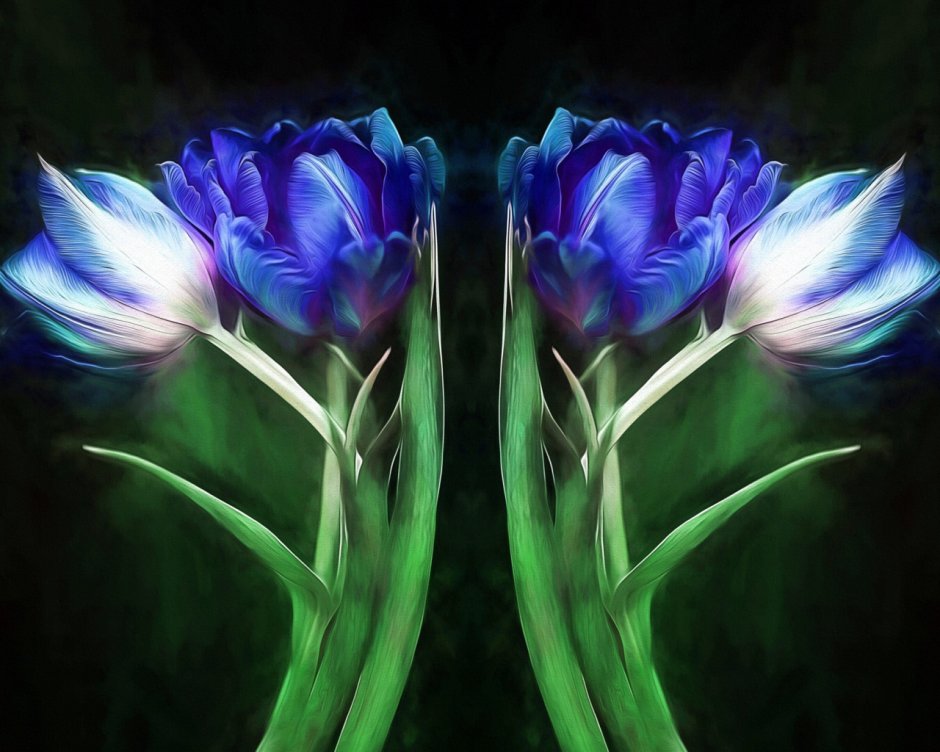Синие тюльпаны фото