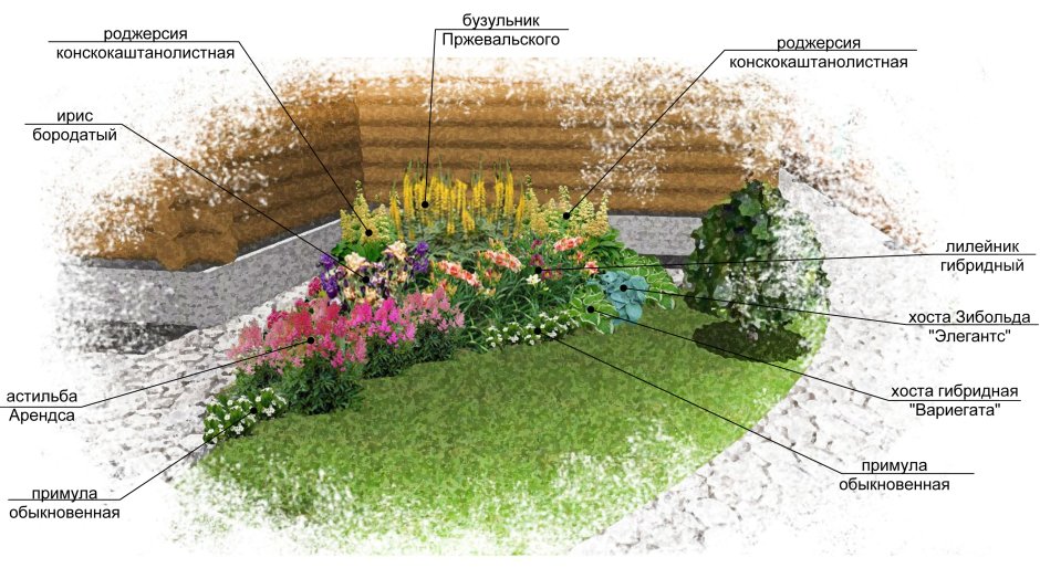 Цветники для тенистых мест схемы