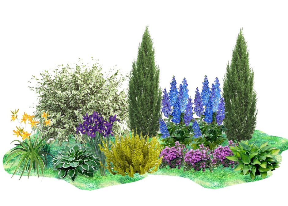 Сад непрерывного цветения Натальи Петренко