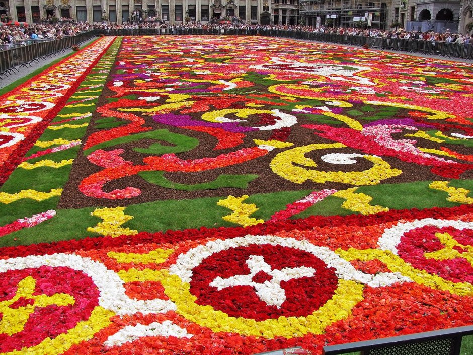 Фестиваль "цветочный ковер" (Flower Carpet), Брюссель, Бельгия.