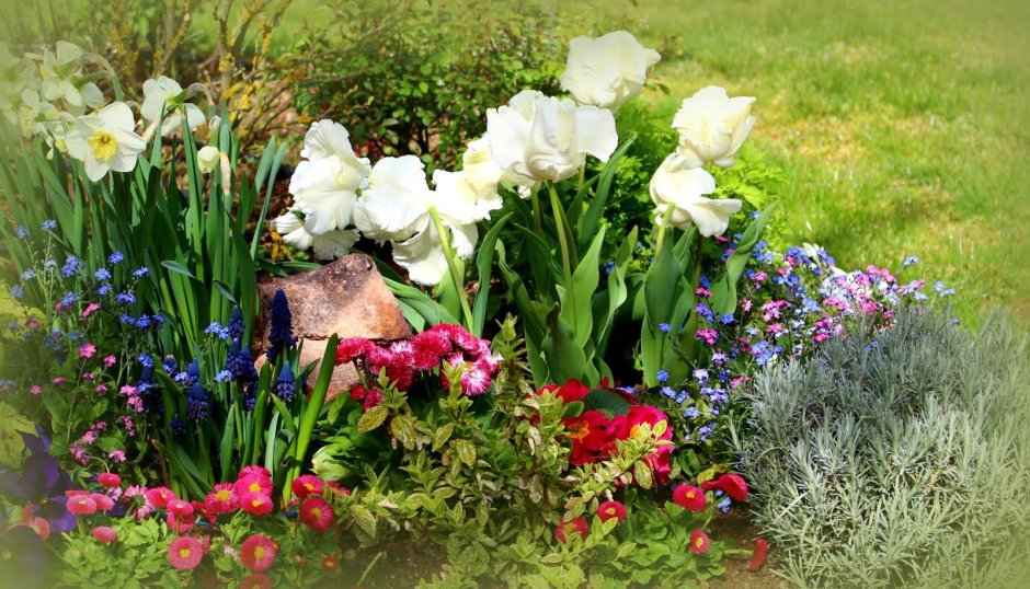 Цветник с весенними цветами