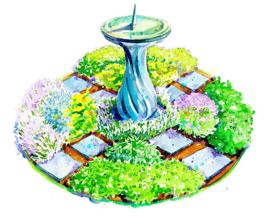 Herb Garden рисунок