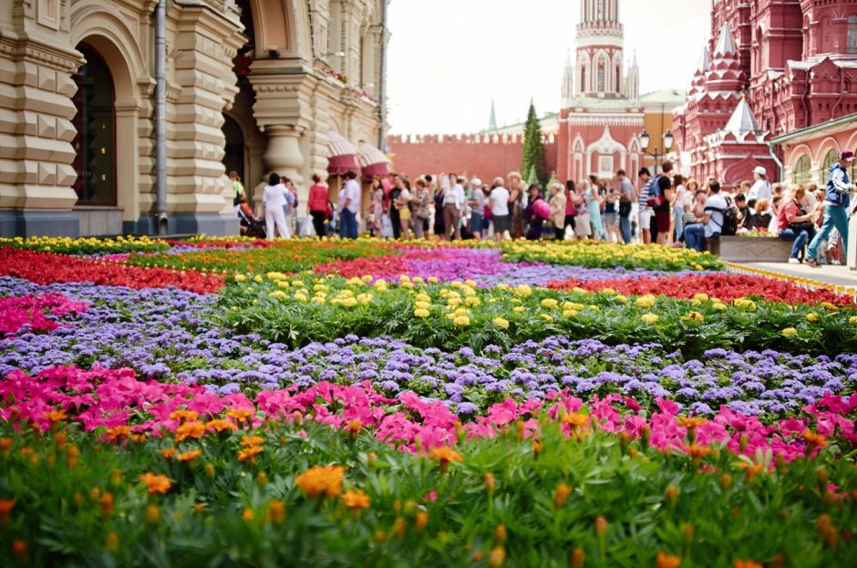 Фестиваль цветов на красной площади