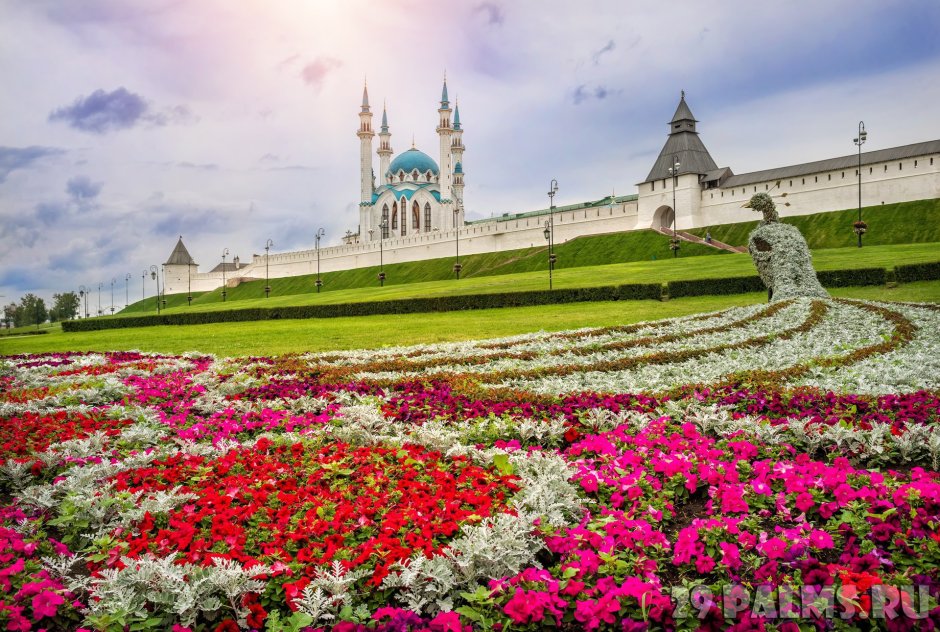 Казань Кремль цветы