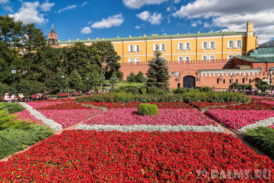 Александровский сад Москва клумба цветы