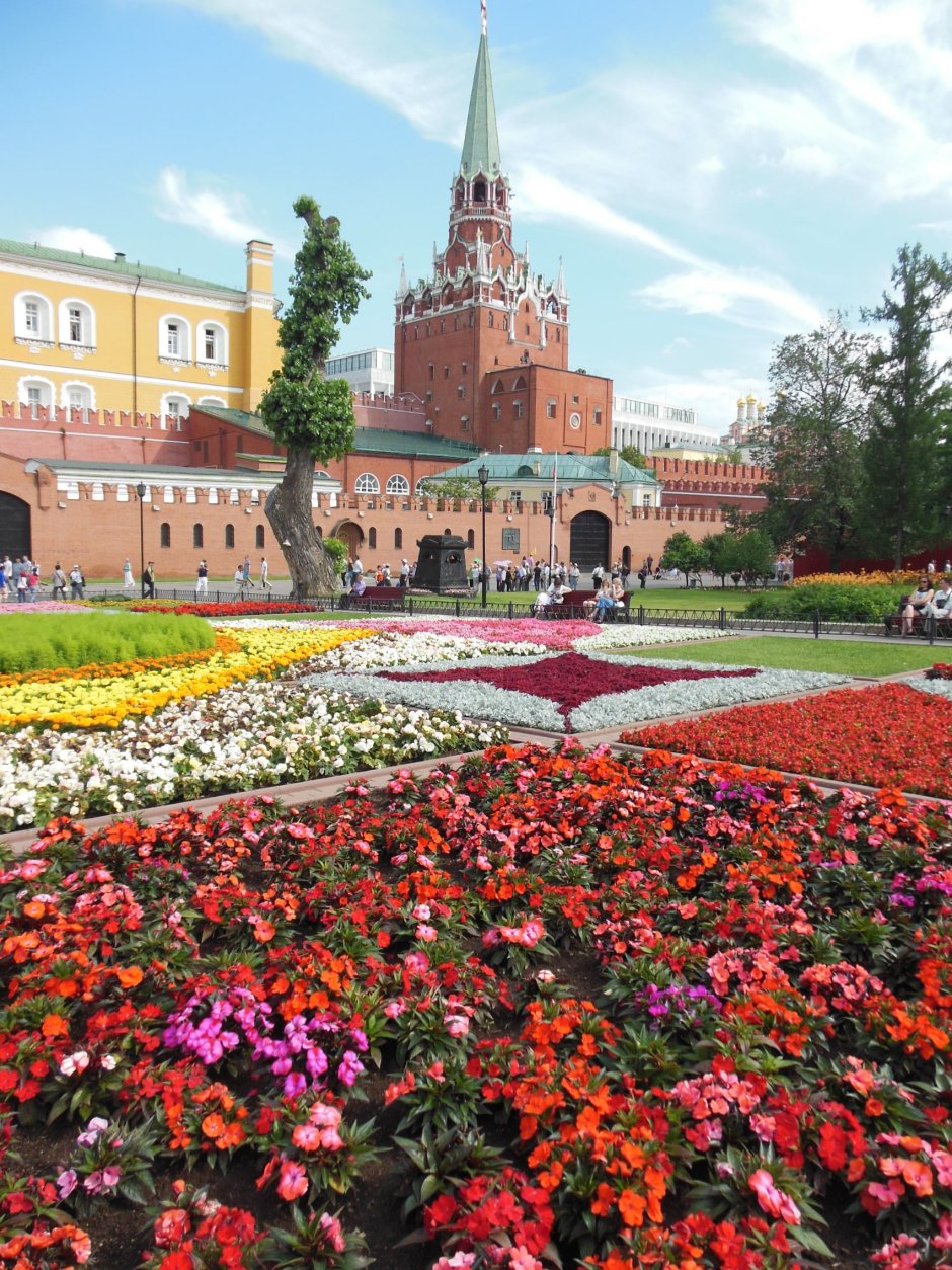 Александрийский сад в Москве