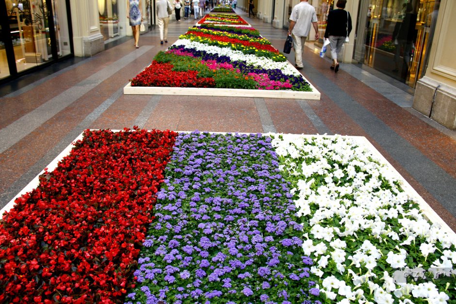 Фестиваль цветов в Москве 2021