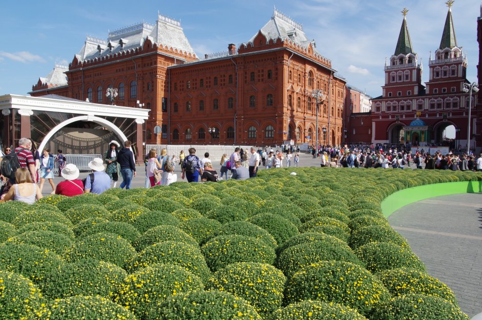 Клумбах в Москве на Манежной площади