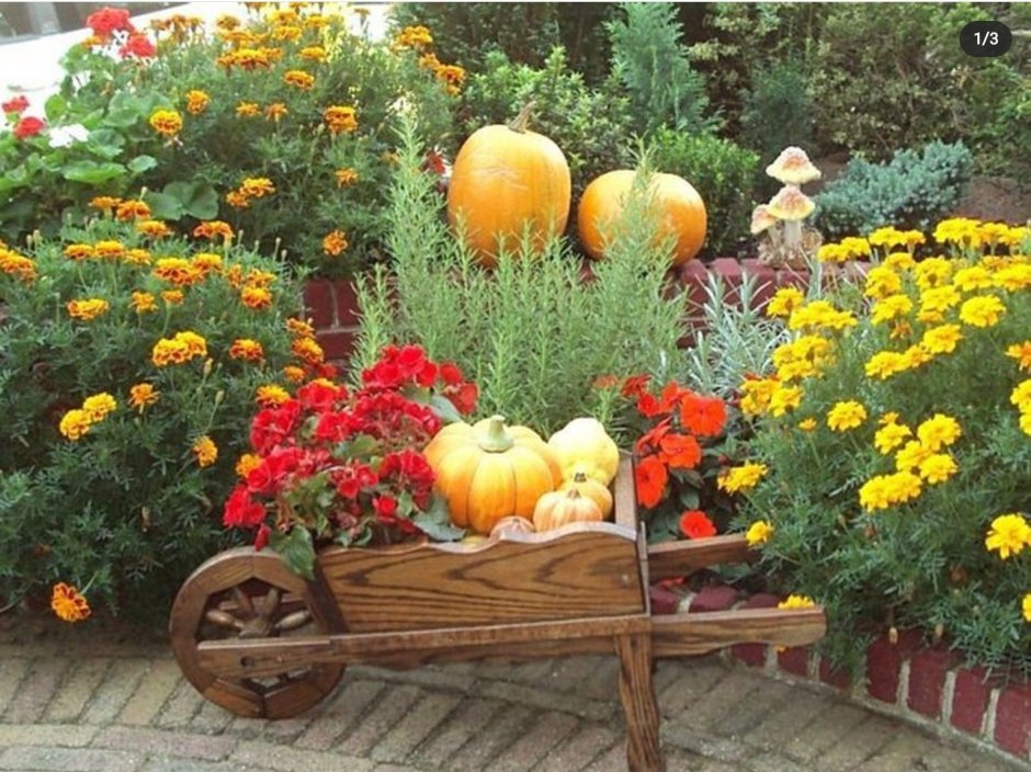 Осенний сад цветник на даче