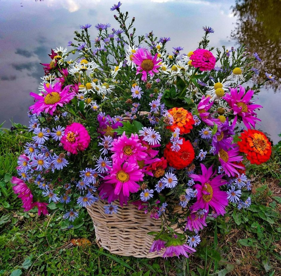 Композиции из садовых цветов