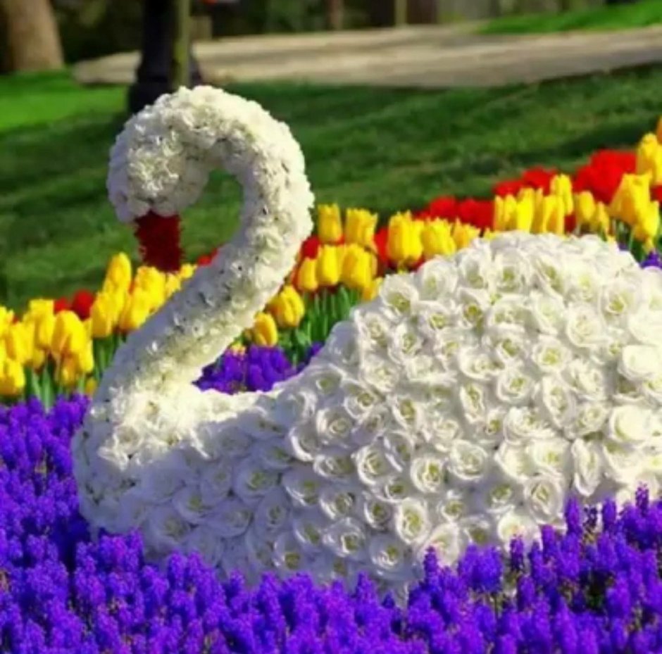 Букет цветов и лебеди