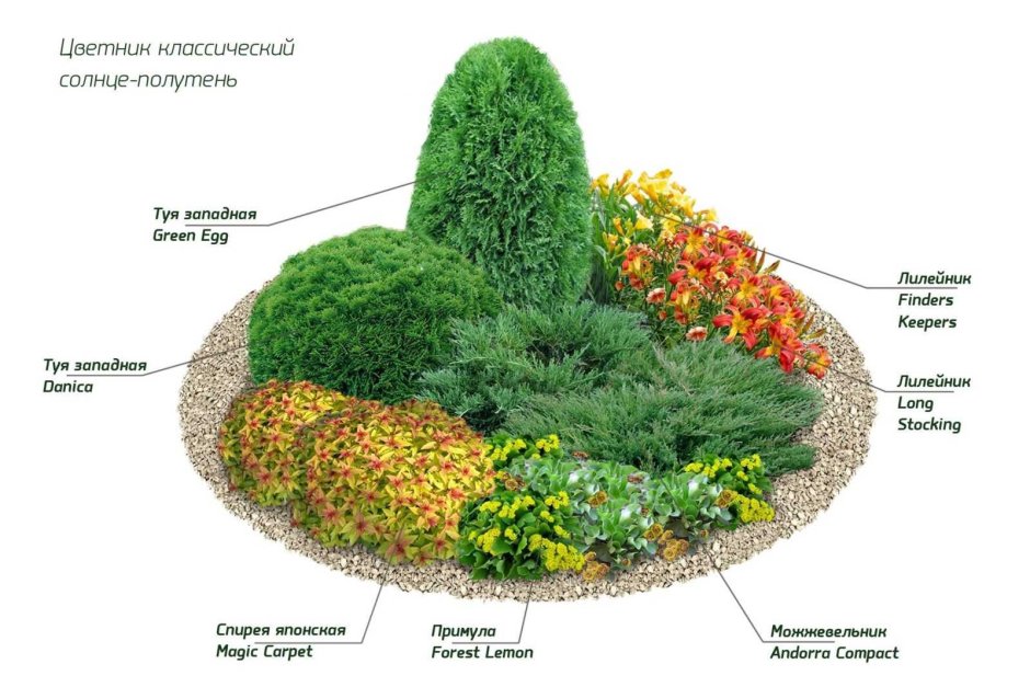 Альпинарий схема посадки растений