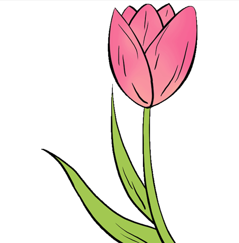 Нарисовать тюльпан
