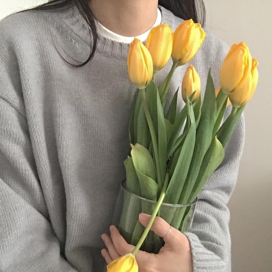 Желтые тюльпаны Пинтерест
