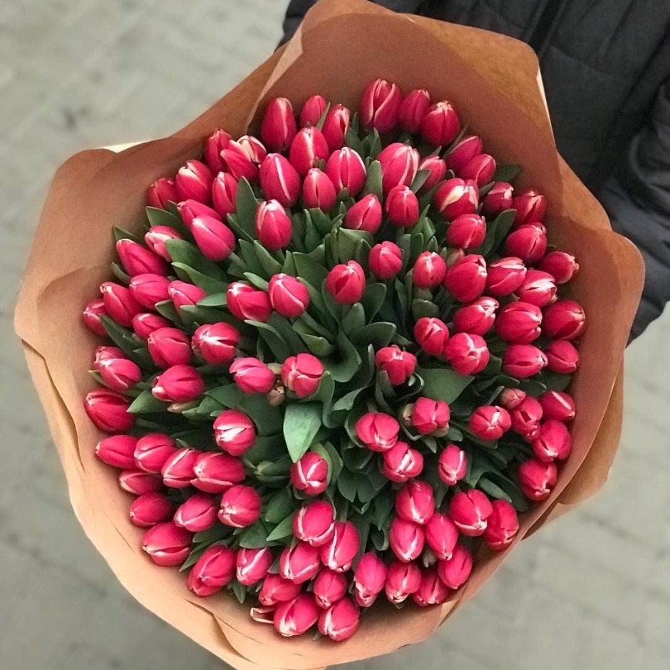101 Красный тюльпан