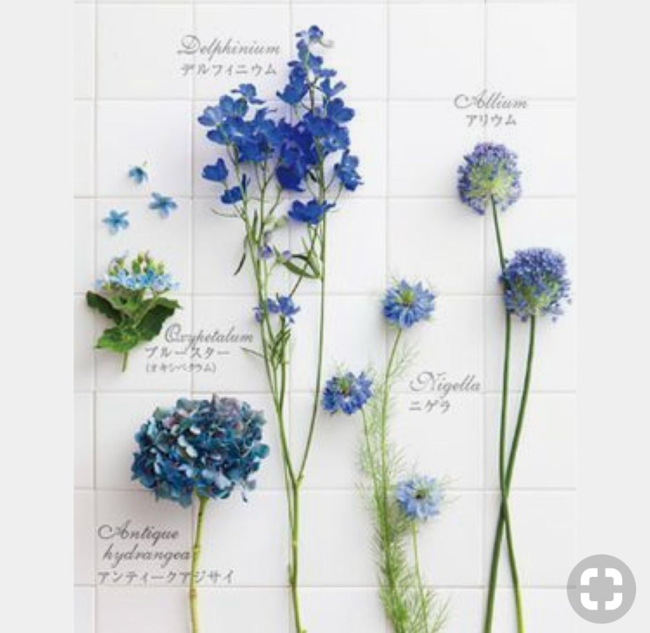 Синие цветы срезка