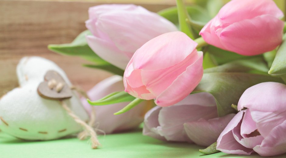 Красивейшие тюльпаны нежных цветов