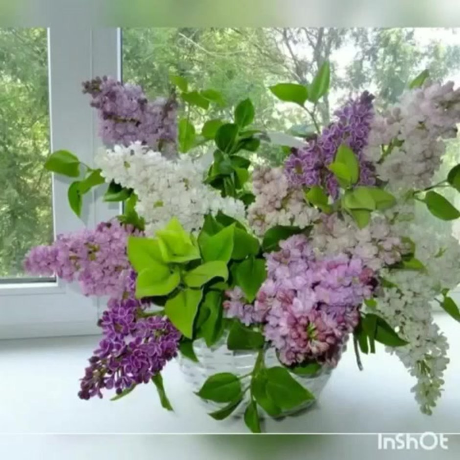 Олеся Галущенко цветы