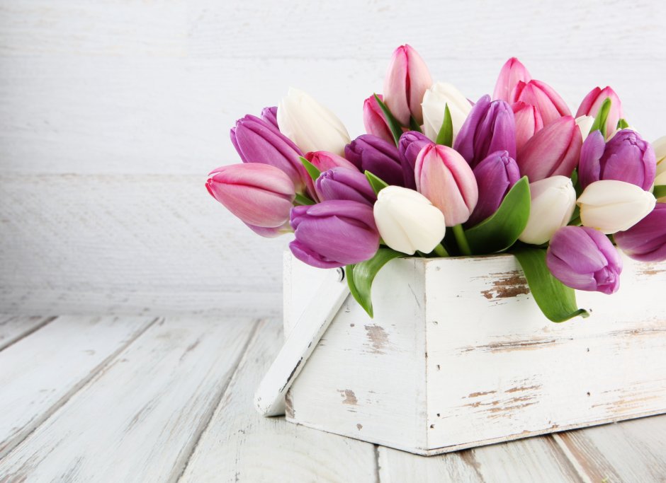 Цветы стильные тюльпаны