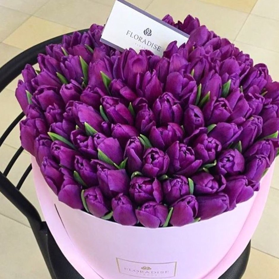 Красивые цветы тюльпаны фиолетовые букеты