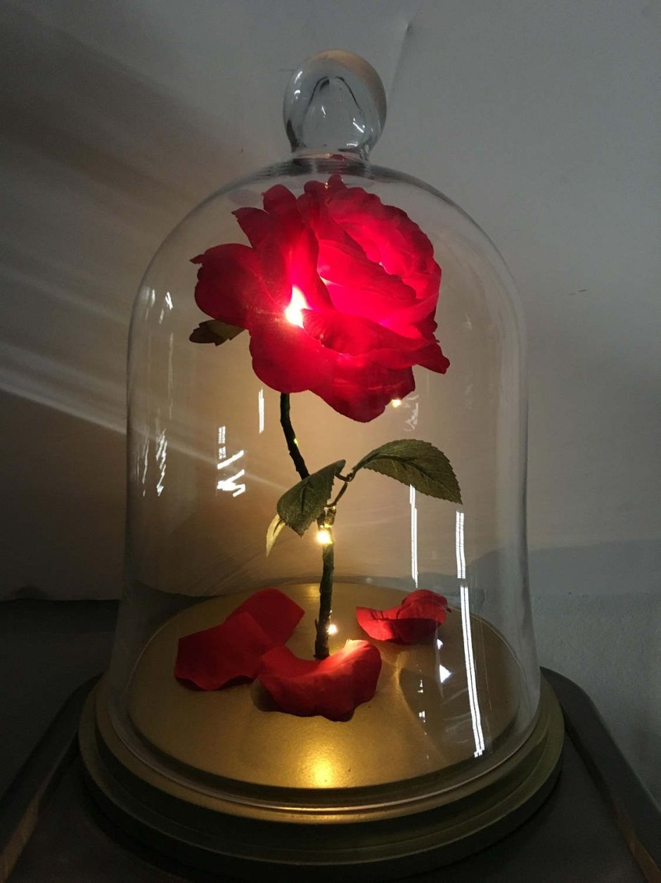 Роза под стеклянным куполом