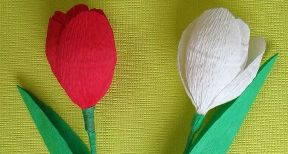 Крепированная бумага цветы тюльпаны
