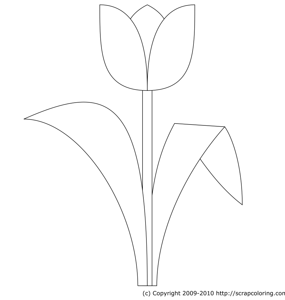 Шаблон тюльпана