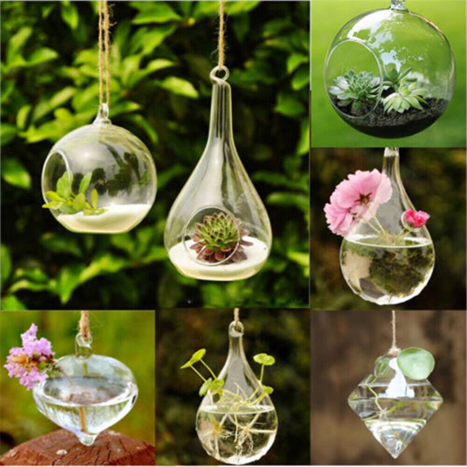Растения в стеклянных шарах