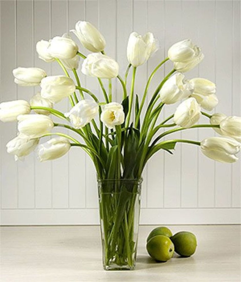 Белые тюльпаны Эстетика пинтереста