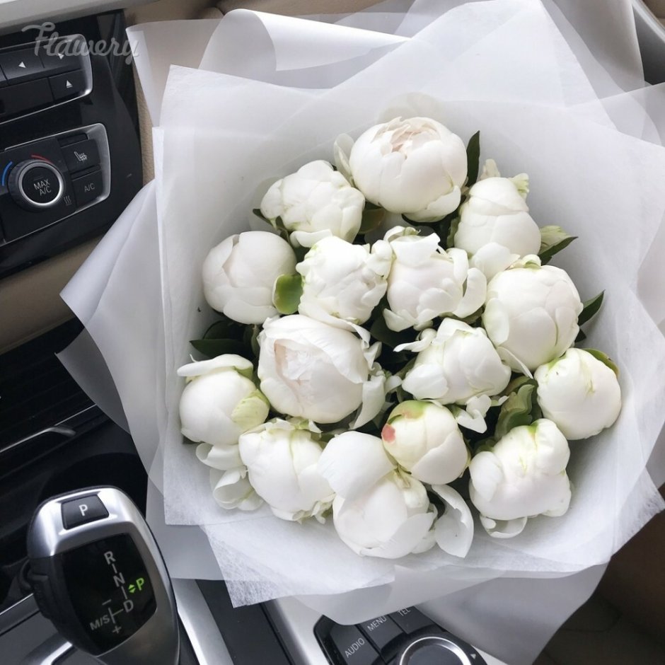 Белые тюльпаны в стеклянной вазе на белом фоне