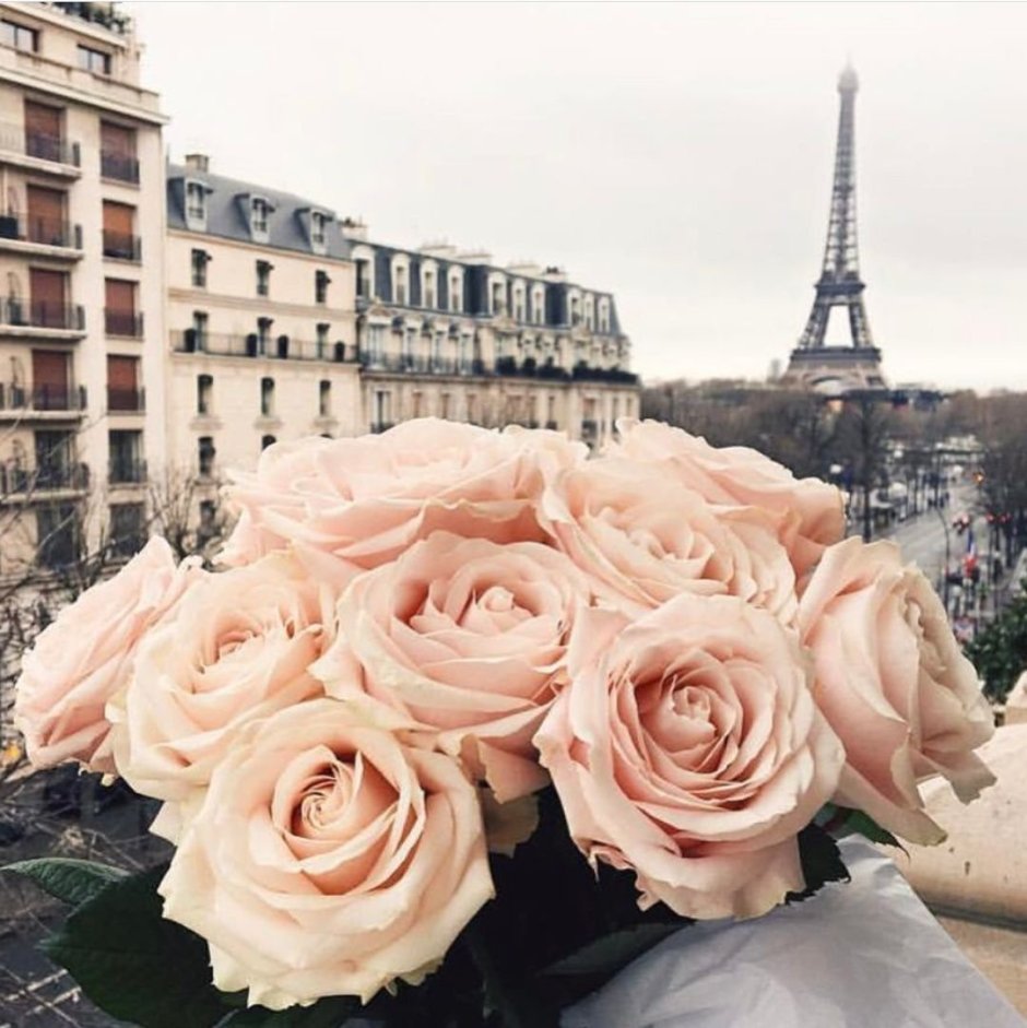 Парижские цветы стилистика