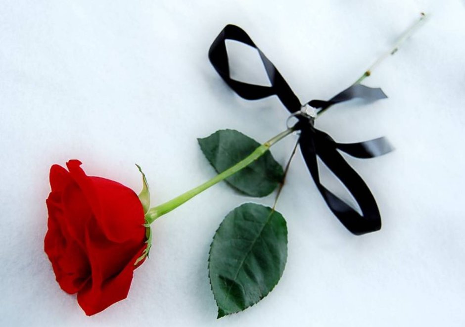 Розы с черной лентой