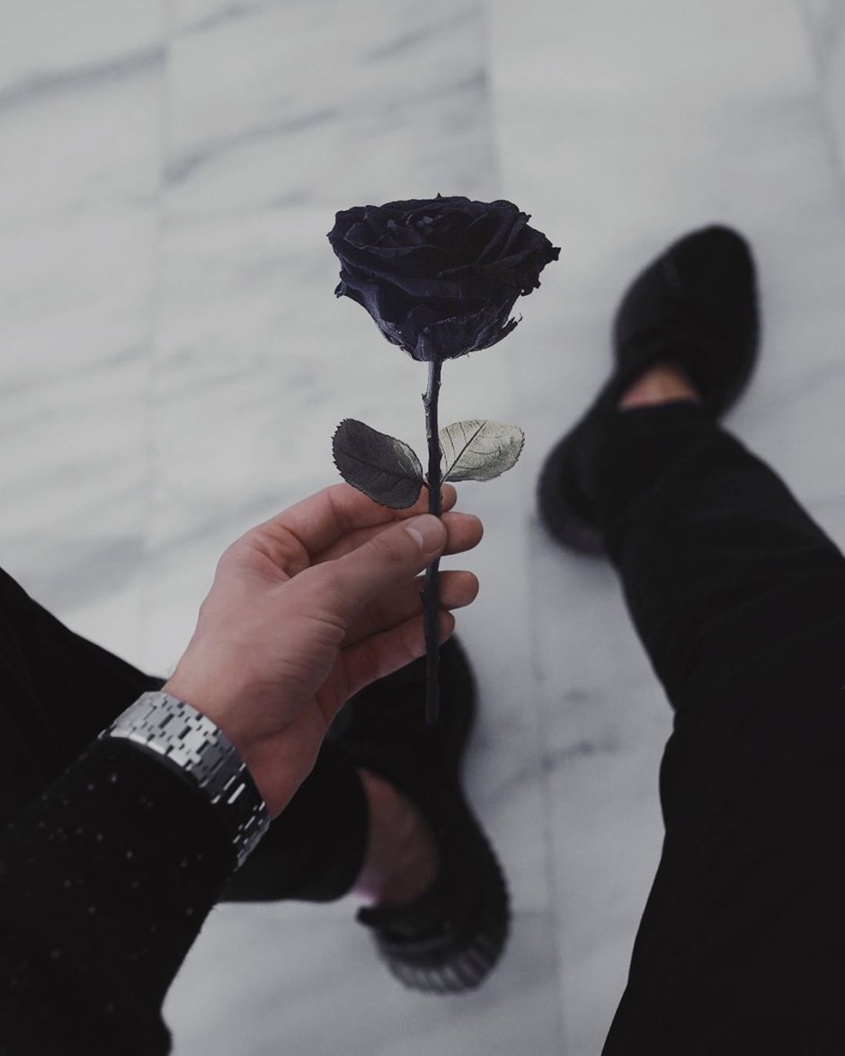 Черная роза в руке