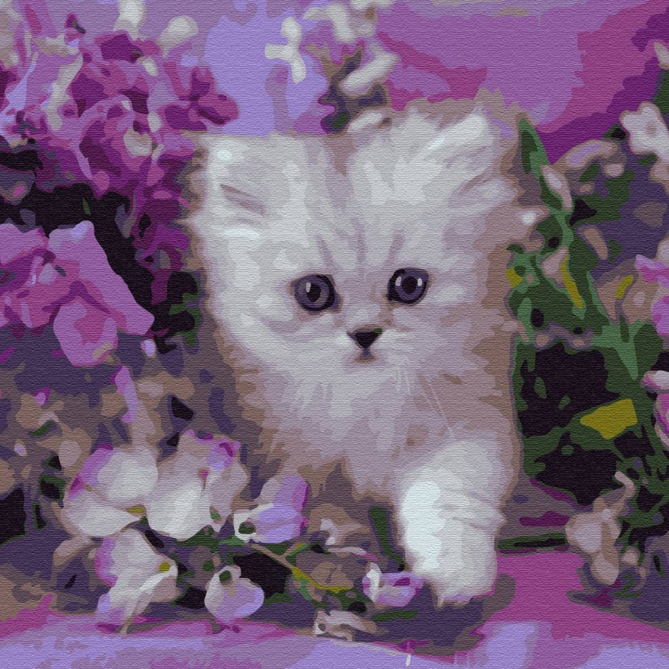 Белая кошка с тюльпанами