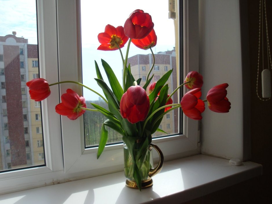 Тюльпаны в вазе на подоконнике